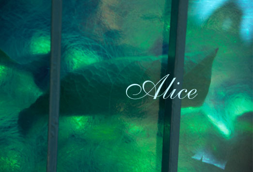 alice, 2007