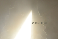 Vision