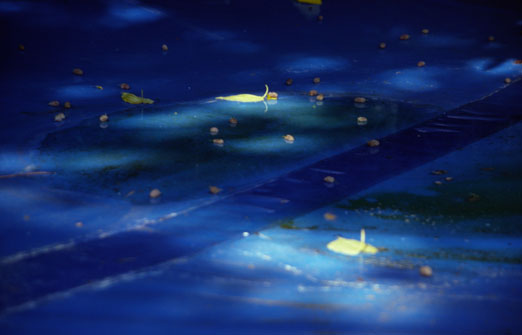 aus „sommer”, 2003, 85 x 127,5 cm