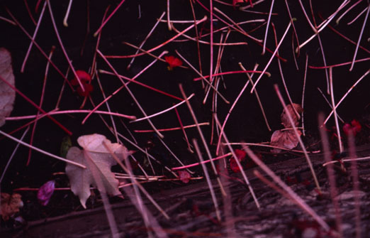 aus „lost”, 2007, 85 x 127,5 cm