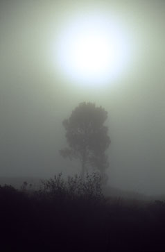 aus „el camino”, 2004, 90 x 70 cm