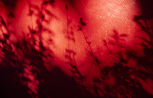 el camino, ohne Titel, 2004, 85 x 127,5 cm