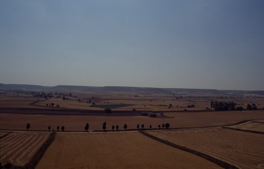 el camino, ohne Titel, 2004, 50 x 70 cm
