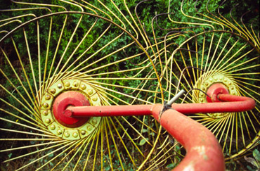 el camino, ohne Titel, 2004, 85 x 127,5 cm