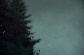 l'absence, ohne Titel, 2000, 50 x 70 cm