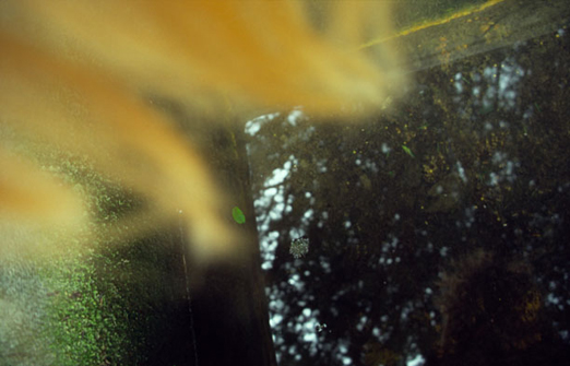 l'absence, ohne Titel, 2000, 85 x 127,5 cm
