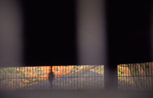 screen, 2008, 70 x 100 cm