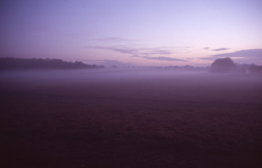 screen, 2008, 85 x 127,5 cm
