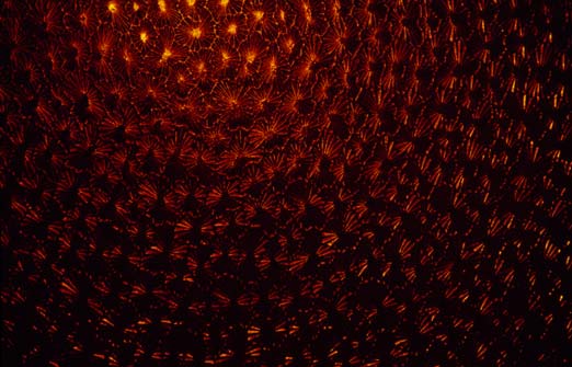 somewhere, ohne Titel, 2003, 85 x 127,5 cm